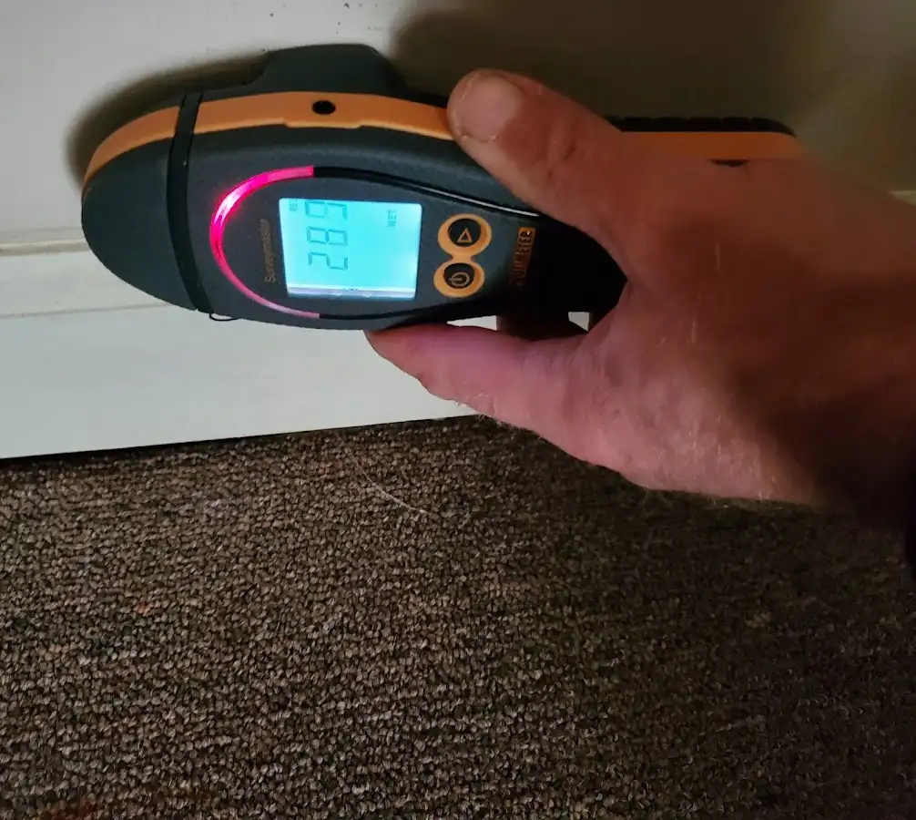 Moisture detection at baseboard during Sewage Cleanup & Sanitation in Toppenish